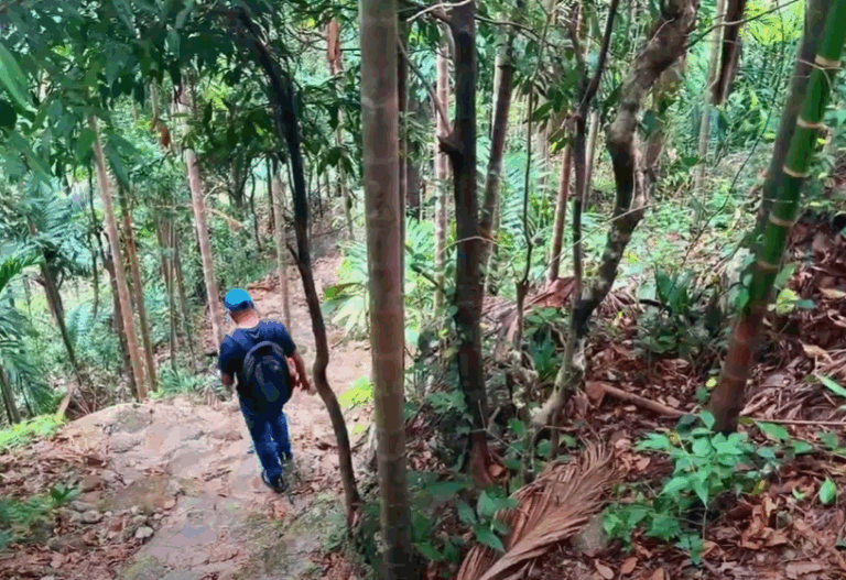 Khlieh Kshaid Nohkalikai Trek